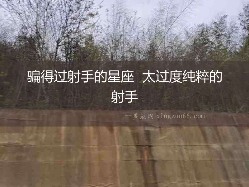 騙得過(guò)射手的星座  太過(guò)度純粹的射手