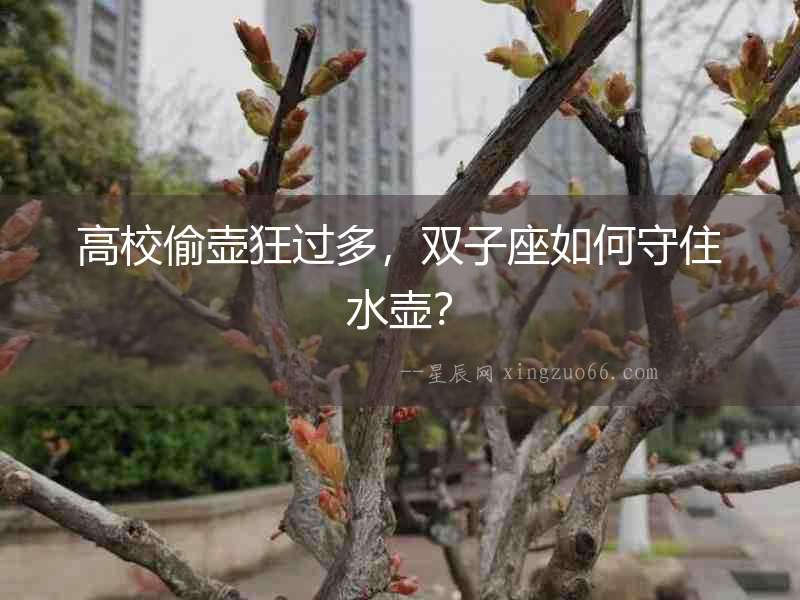 高校偷壺狂過多，雙子座如何守住水壺？
