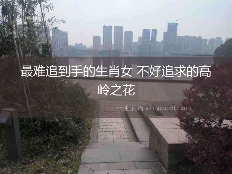 最難追到手的生肖女 不好追求的高嶺之花