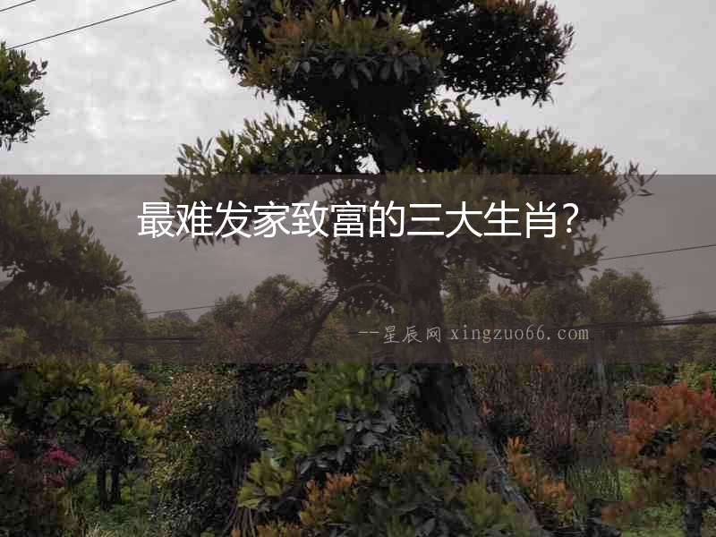 最難發家致富的三大生肖？