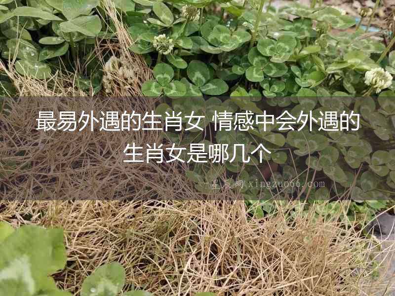 最易外遇的生肖女 情感中會(huì)外遇的生肖女是哪幾個(gè)