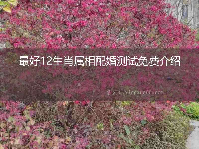 最好12生肖屬相配婚測(cè)試免費(fèi)介紹