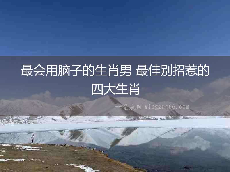 最會(huì)用腦子的生肖男 最佳別招惹的四大生肖