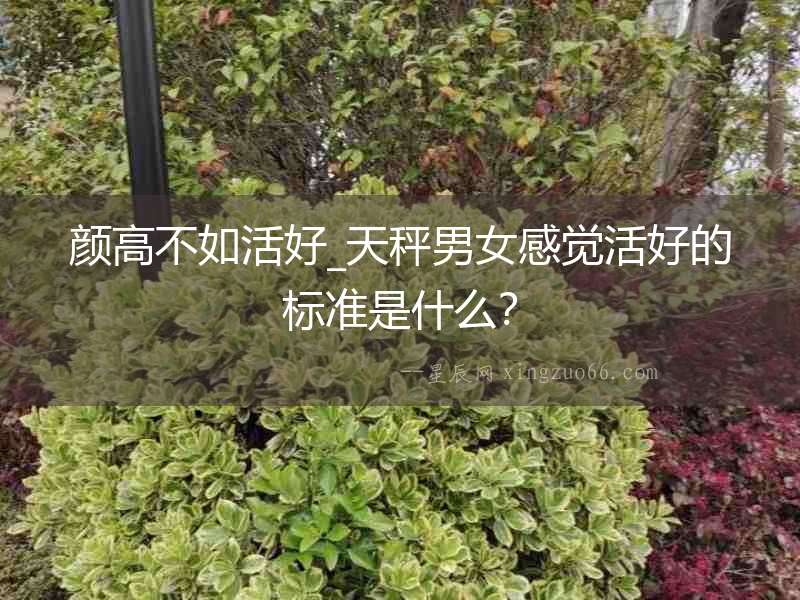 顏高不如活好_天秤男女感覺活好的標準是什么？