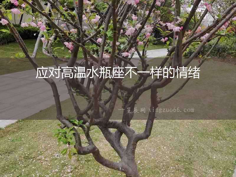應(yīng)對高溫水瓶座不一樣的情緒