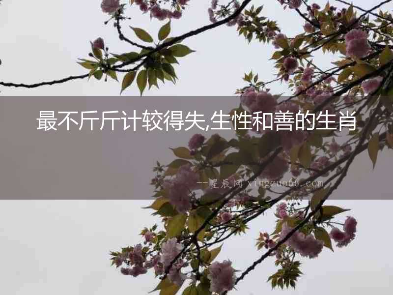 最不斤斤計(jì)較得失,生性和善的生肖