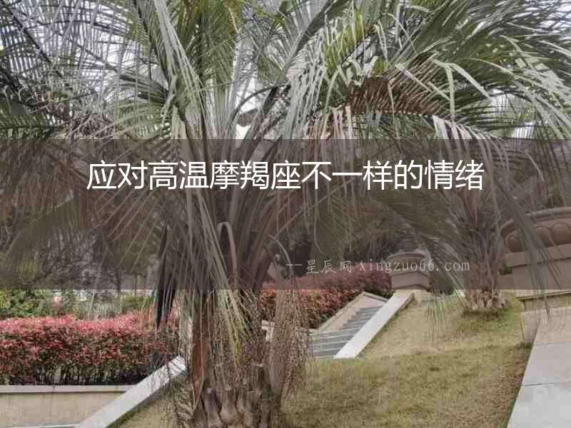 應(yīng)對高溫摩羯座不一樣的情緒