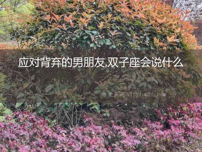 應對背棄的男朋友,雙子座會說什么