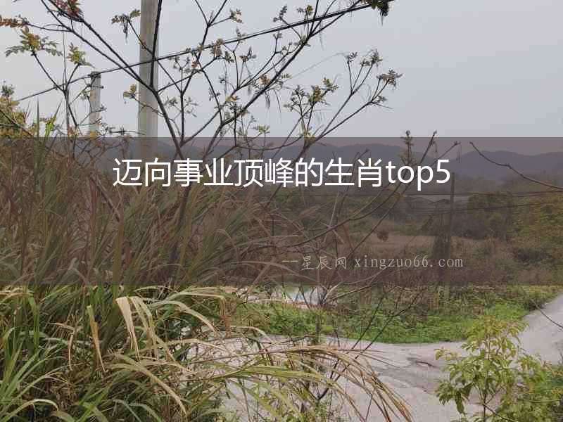 邁向事業頂峰的生肖top5