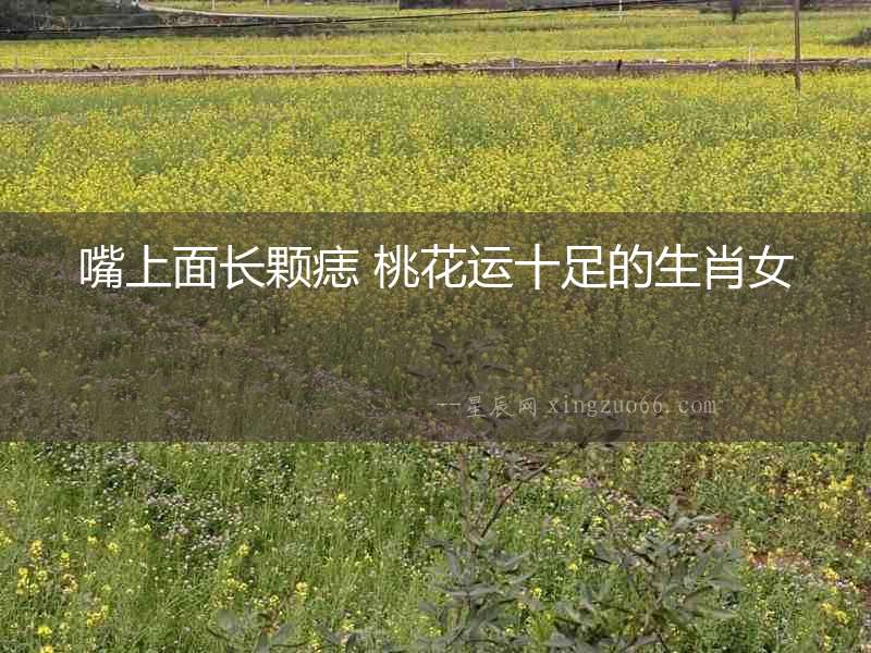 嘴上面長顆痣 桃花運十足的生肖女