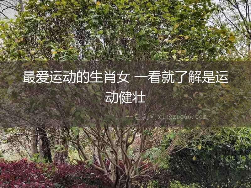 最愛運(yùn)動(dòng)的生肖女 一看就了解是運(yùn)動(dòng)健壯