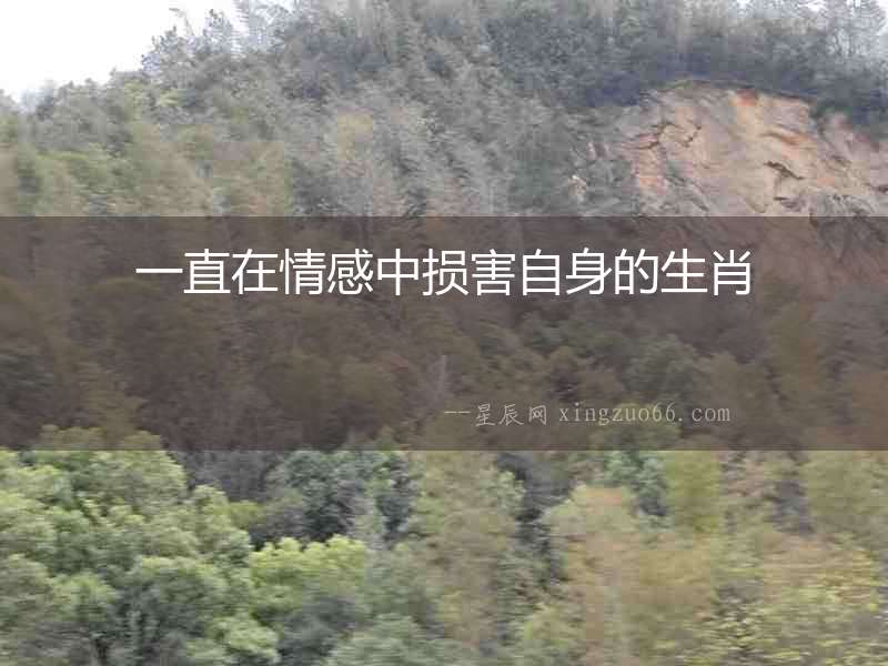 一直在情感中損害自身的生肖
