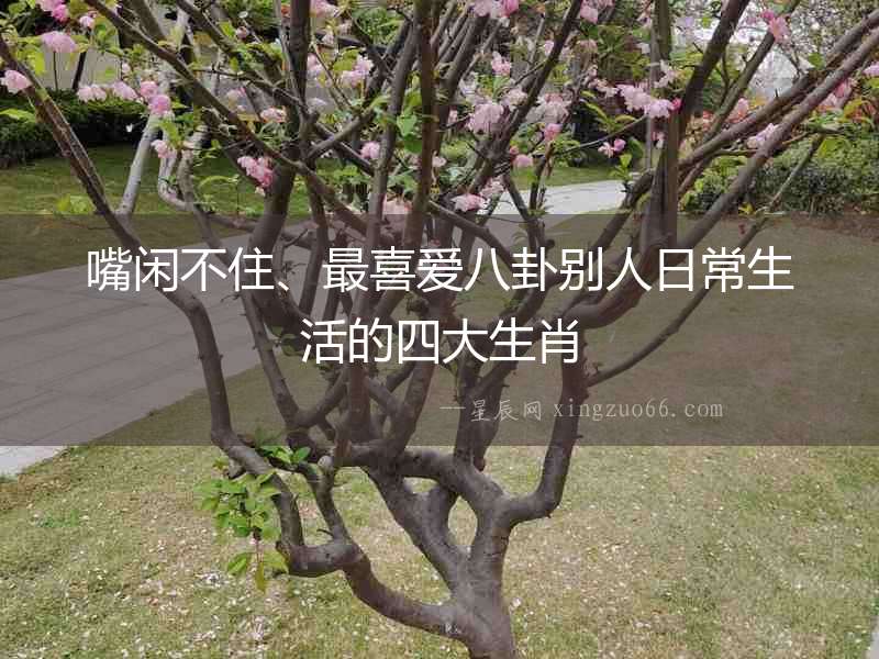 嘴閑不住、最喜愛八卦別人日常生活的四大生肖