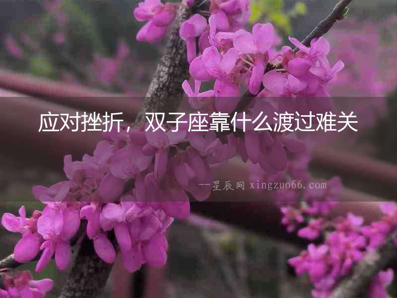 應對挫折，雙子座靠什么渡過難關