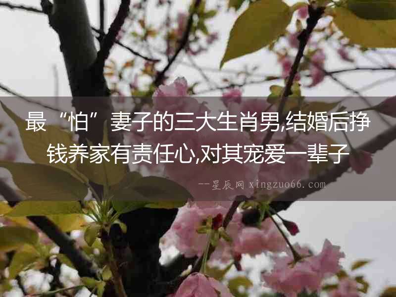 最“怕”妻子的三大生肖男,結(jié)婚后掙錢養(yǎng)家有責(zé)任心,對(duì)其寵愛一輩子