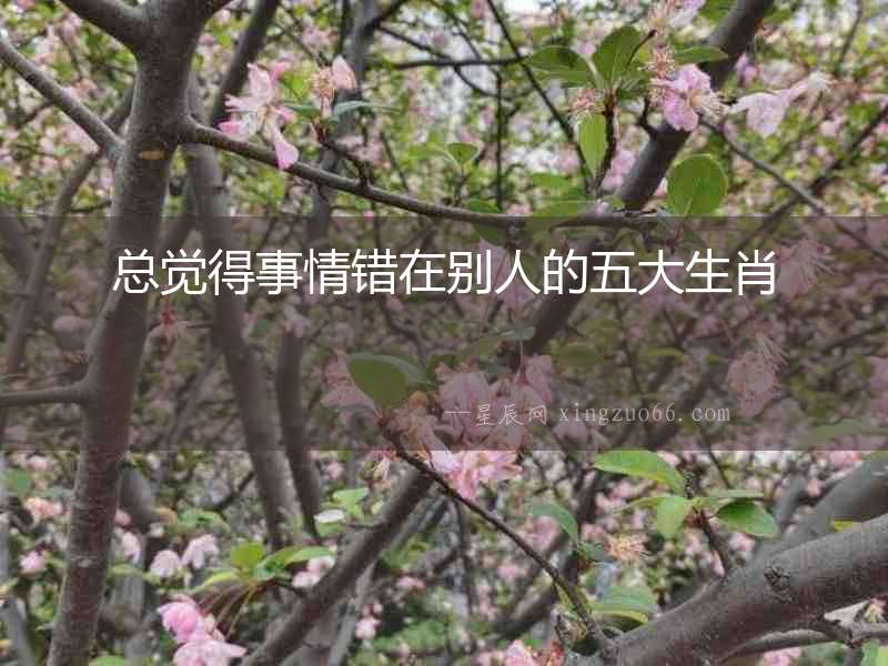 總覺得事情錯在別人的五大生肖