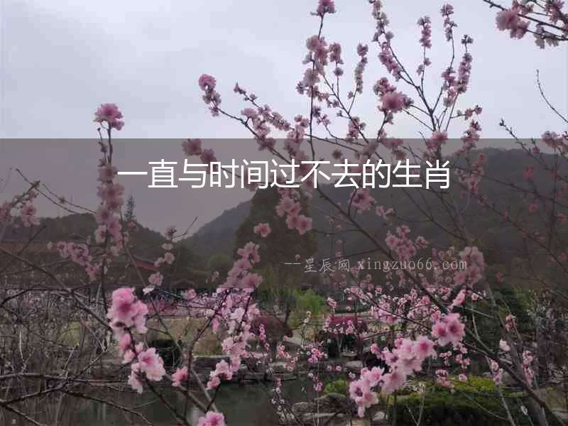 一直與時間過不去的生肖