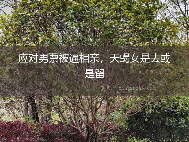 應(yīng)對男票被逼相親，天蝎女是去或是留