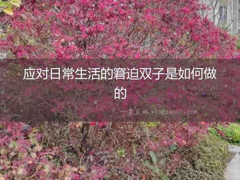 應(yīng)對日常生活的窘迫雙子是如何做的