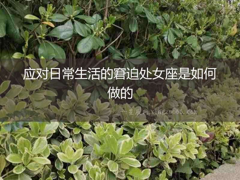 應對日常生活的窘迫處女座是如何做的