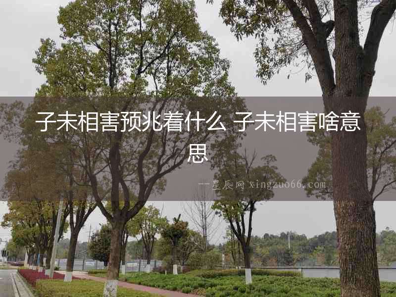 子未相害預兆著什么 子未相害啥意思