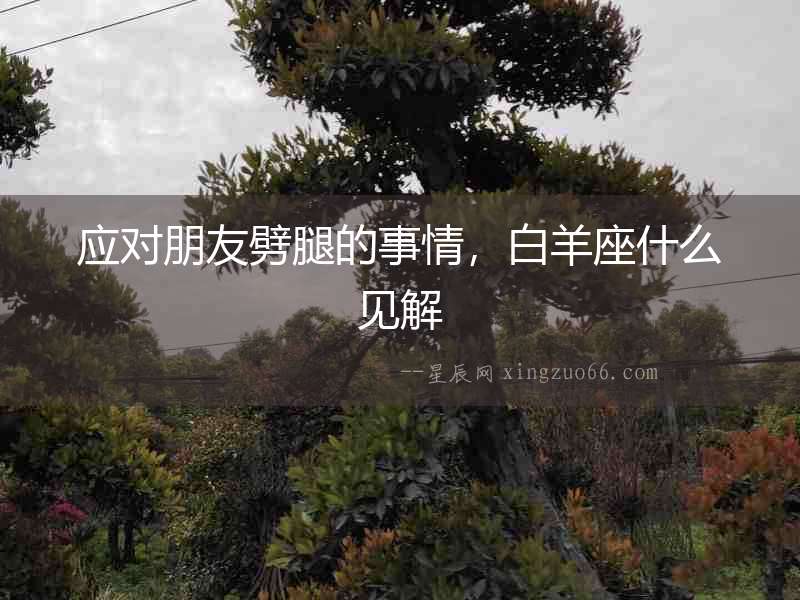 應(yīng)對朋友劈腿的事情，白羊座什么見解