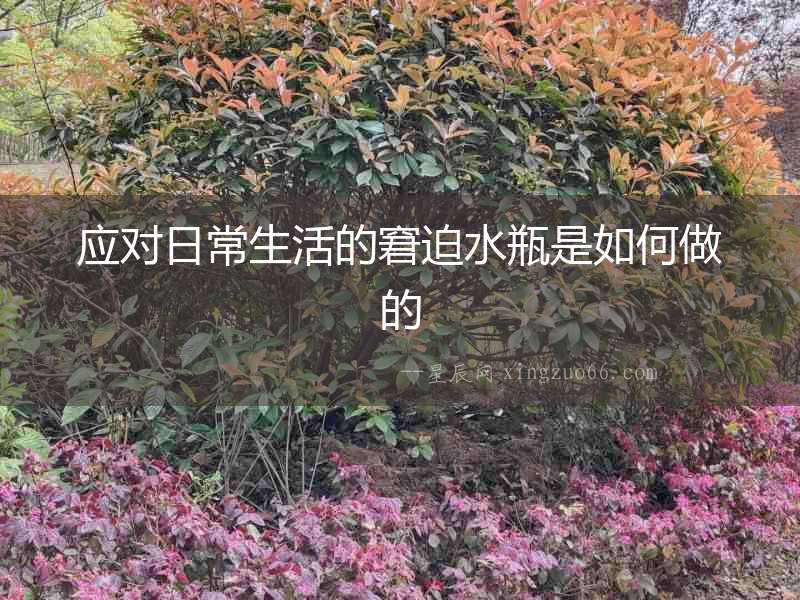 應對日常生活的窘迫水瓶是如何做的
