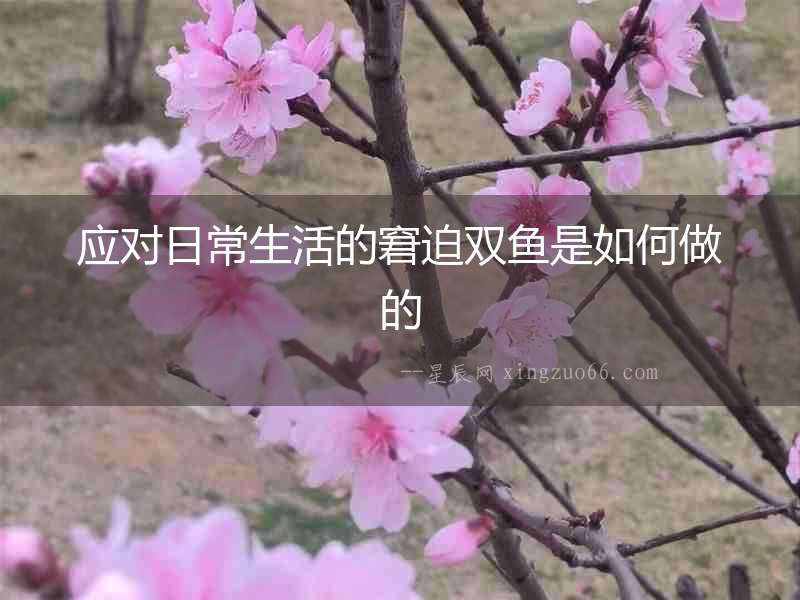 應對日常生活的窘迫雙魚是如何做的