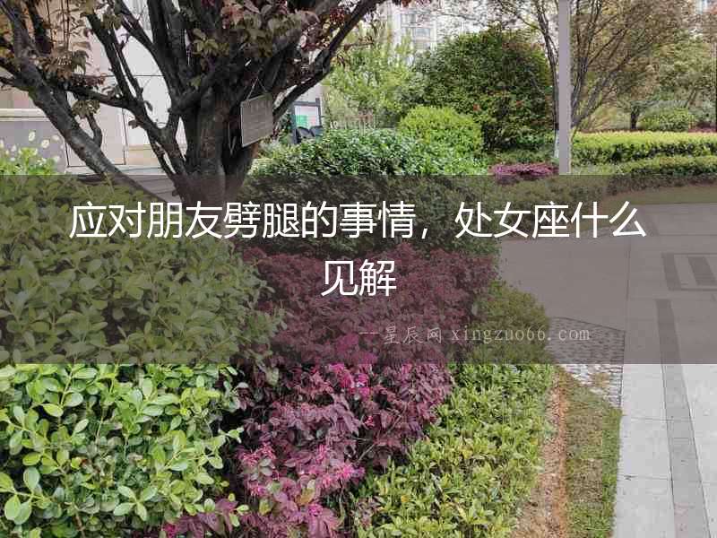 應(yīng)對朋友劈腿的事情，處女座什么見解