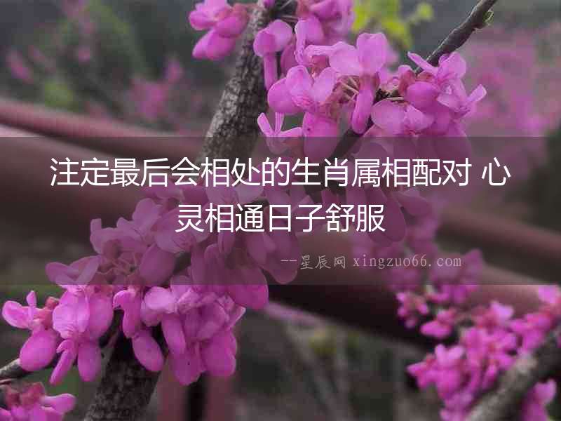 注定最后會(huì)相處的生肖屬相配對(duì) 心靈相通日子舒服