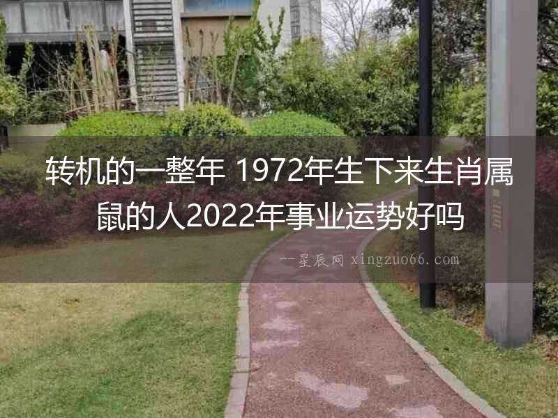 轉機的一整年 1972年生下來生肖屬鼠的人2022年事業運勢好嗎