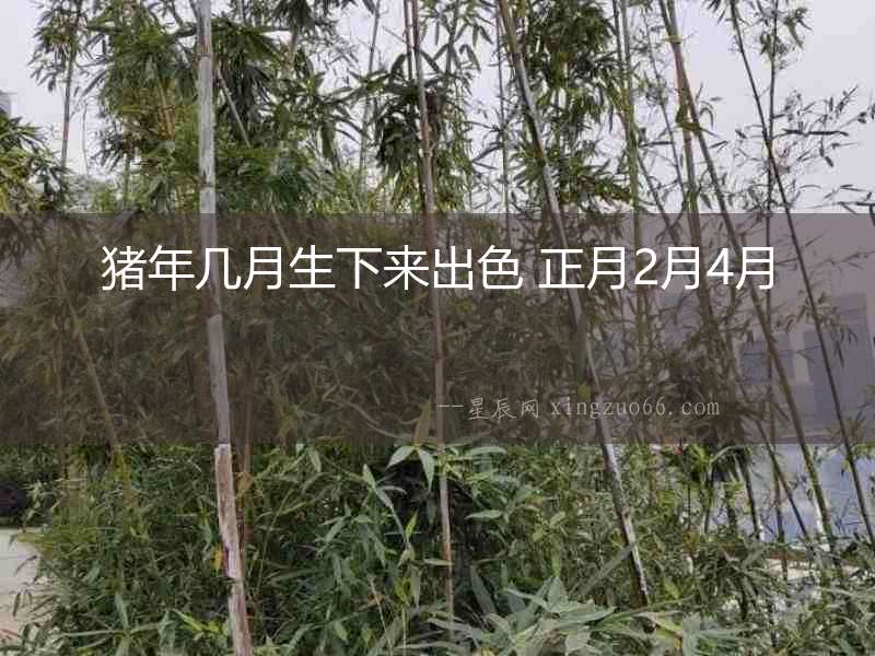 豬年幾月生下來(lái)出色 正月2月4月