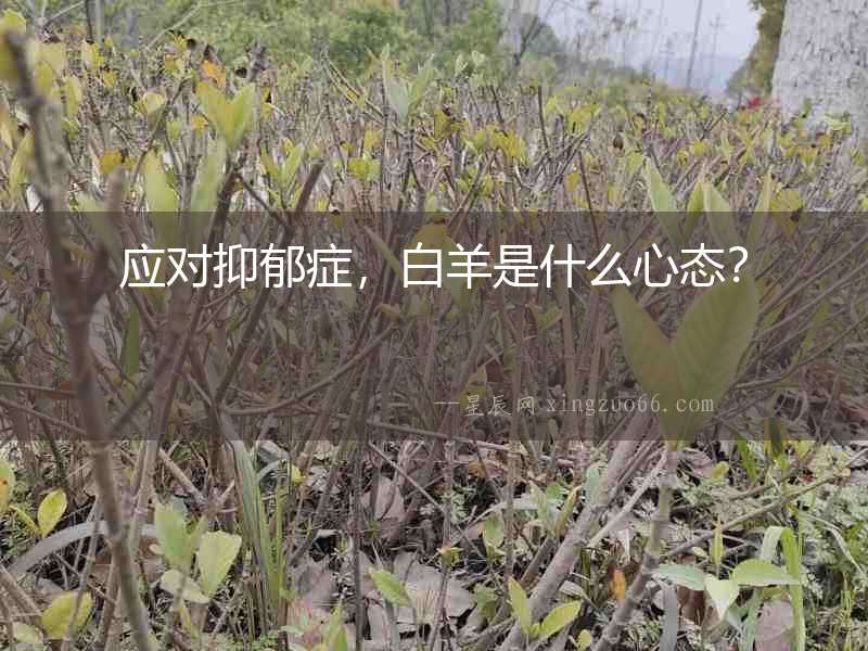 應(yīng)對(duì)抑郁癥，白羊是什么心態(tài)？