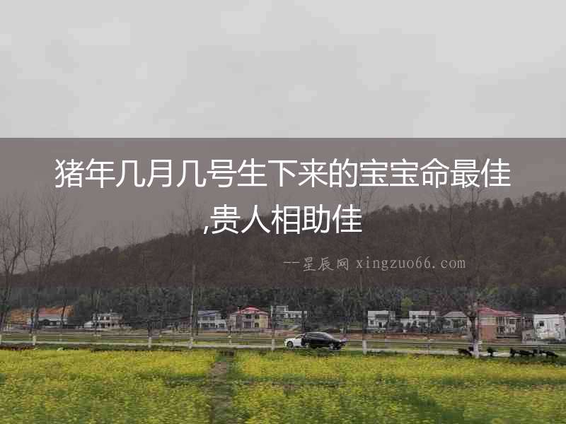 豬年幾月幾號(hào)生下來的寶寶命最佳,貴人相助佳
