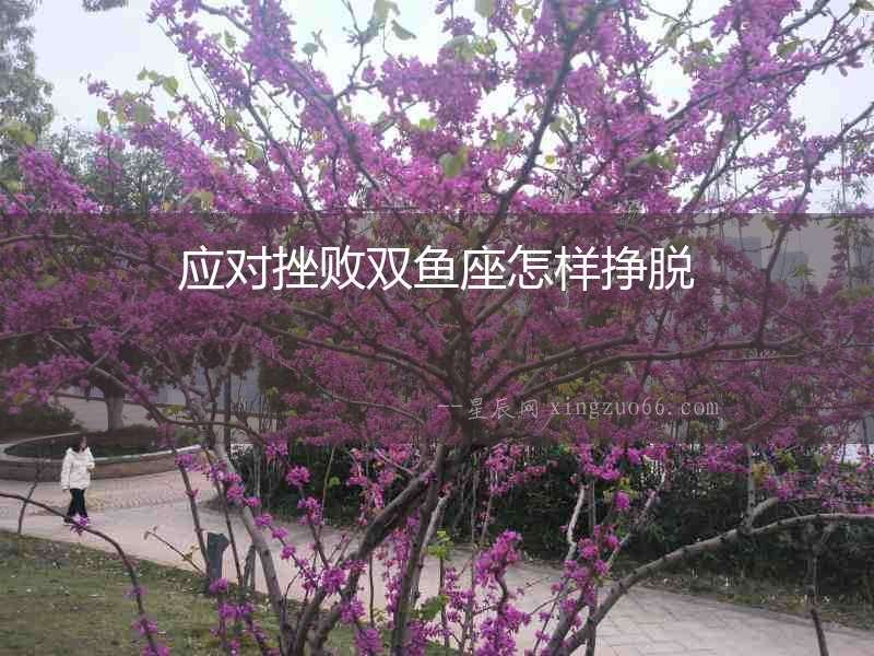 應對挫敗雙魚座怎樣掙脫