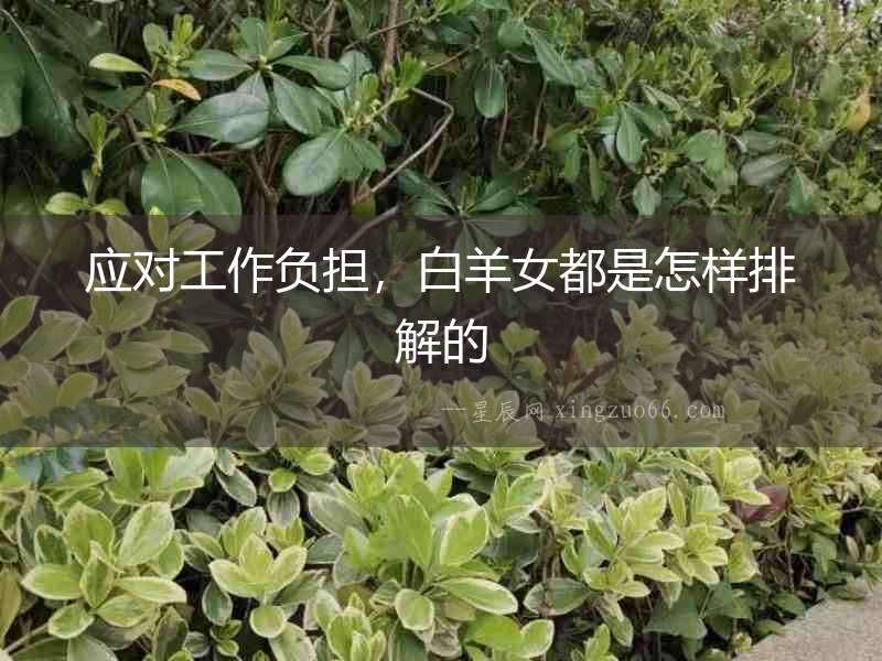 應(yīng)對(duì)工作負(fù)擔(dān)，白羊女都是怎樣排解的