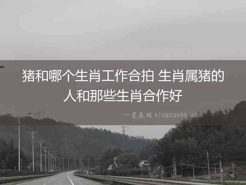 豬和哪個生肖工作合拍 生肖屬豬的人和那些生肖合作好