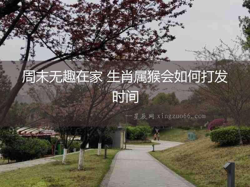 周末無趣在家 生肖屬猴會如何打發時間