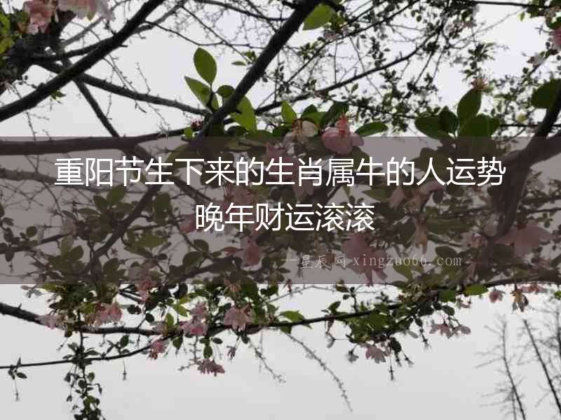 重陽節生下來的生肖屬牛的人運勢 晚年財運滾滾