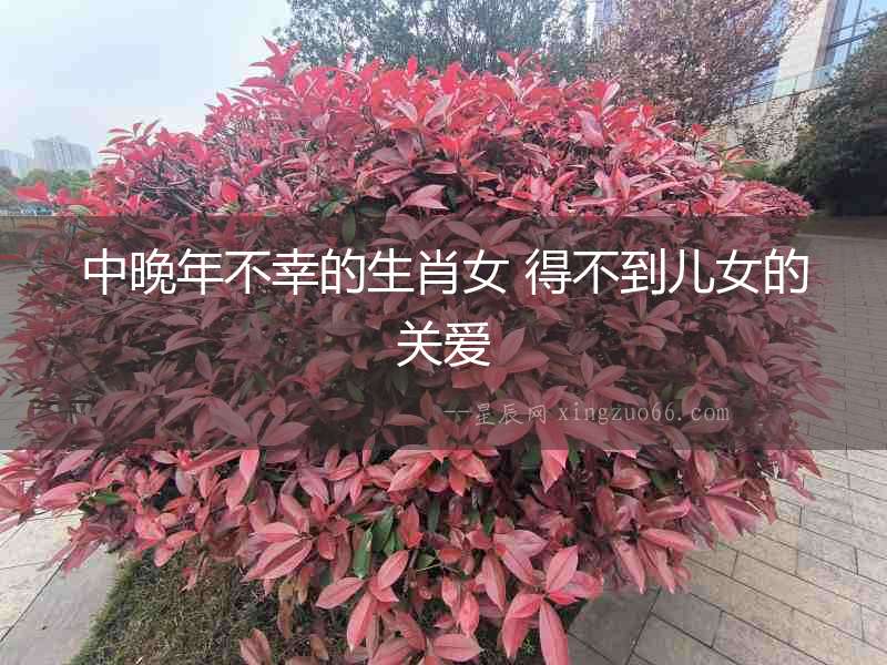 中晚年不幸的生肖女 得不到兒女的關(guān)愛(ài)