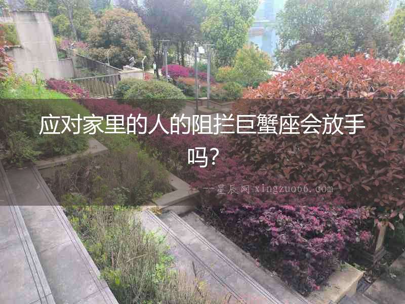應對家里的人的阻攔巨蟹座會放手嗎？