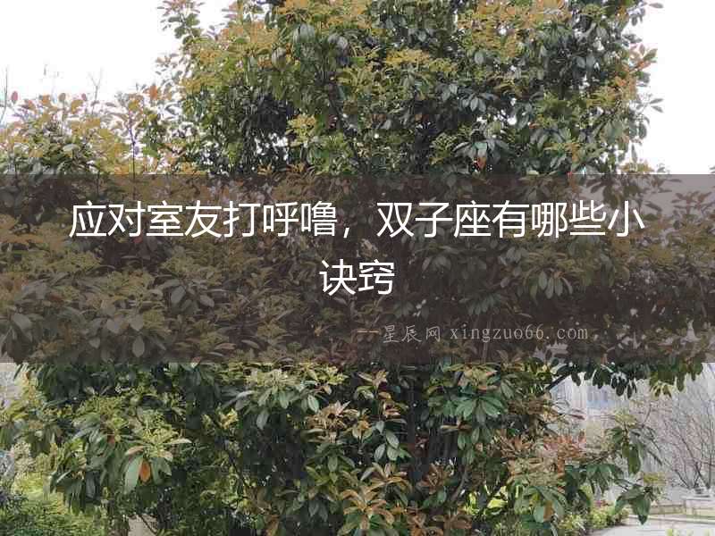 應(yīng)對室友打呼嚕，雙子座有哪些小訣竅