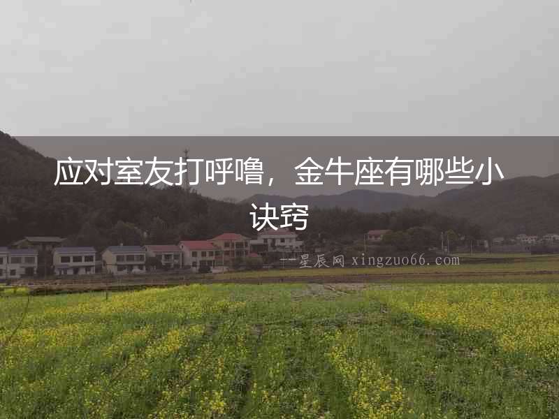 應(yīng)對室友打呼嚕，金牛座有哪些小訣竅