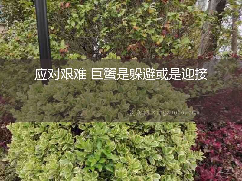 應對艱難 巨蟹是躲避或是迎接