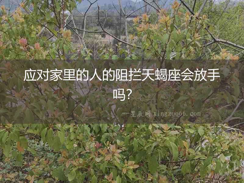 應對家里的人的阻攔天蝎座會放手嗎？