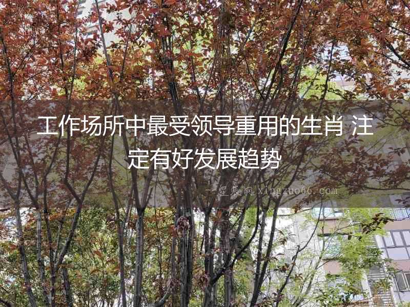 工作場所中最受領導重用的生肖 注定有好發(fā)展趨勢