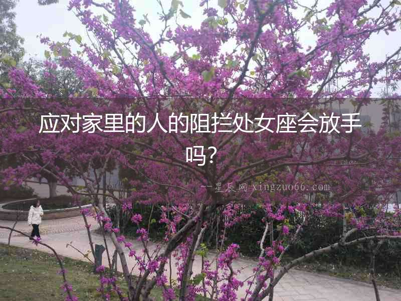 應(yīng)對家里的人的阻攔處女座會放手嗎？