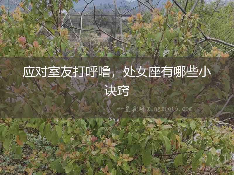 應(yīng)對(duì)室友打呼嚕，處女座有哪些小訣竅