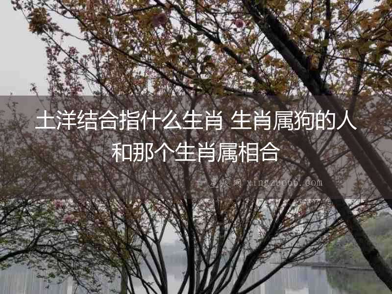 土洋結合指什么生肖 生肖屬狗的人和那個生肖屬相合