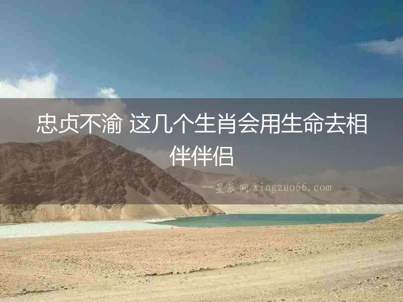忠貞不渝 這幾個生肖會用生命去相伴伴侶